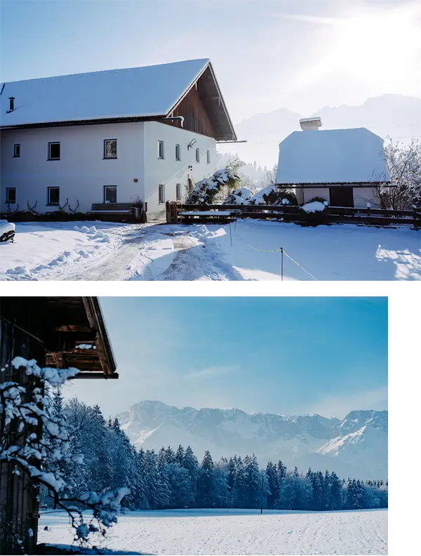 Chalet Wiesengut Außenansicht Winter