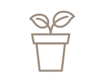 Icon Topfpflanze